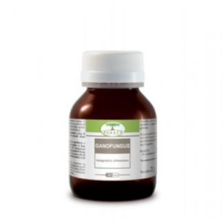 Ганофунгус 60 капсул