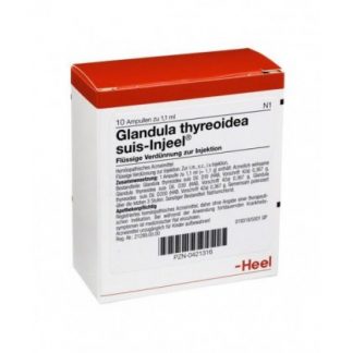 Glandula Thyreoidea Suis Injeel 10 флаконов на пятке