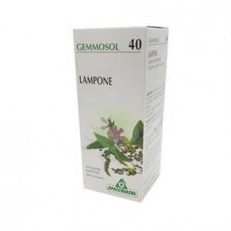 Raspberry 1 DH Buds 50 мл