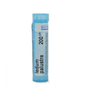 Ledum Palustre 200CH гранулы