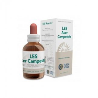 Les Acer Campestris Drops 50 мл