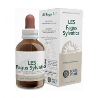 Les Fagus Silvatica Drops 50 мл