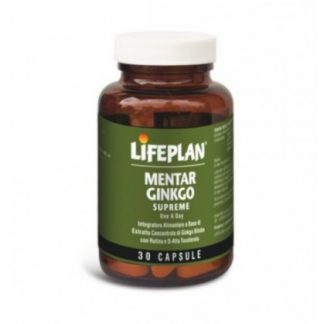 Ментар Гинкго 30 капсул