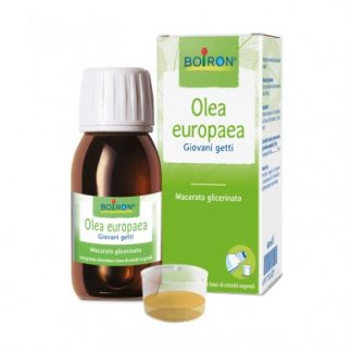 Olea Europaea Glycerine Macerate 60 мл Буарон