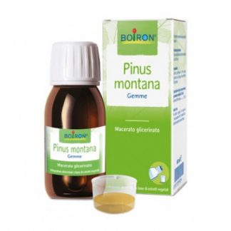 Pinus Montana Glycerine Macerate 60 мл Буарон