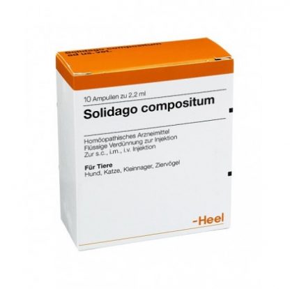 Solidago Compositum 10 флаконов 2,2 мл каблук