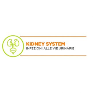 KIDNEY SYSTEM LUX.M