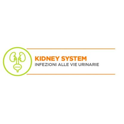 KIDNEY SYSTEM LUX.M