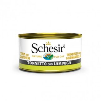 AGRAS SCHESIR GATTO TONNETTO CON LAMPUGA DA 85 GR IN LATTINA