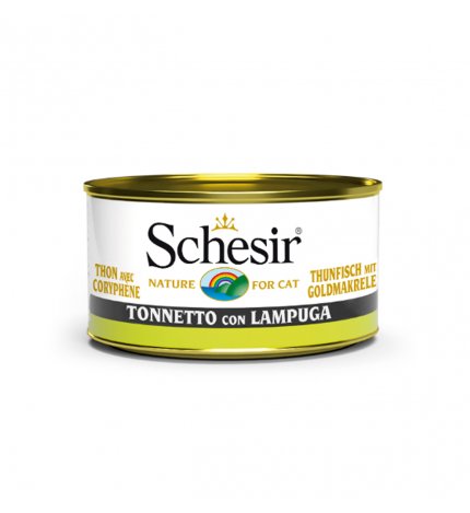 AGRAS SCHESIR GATTO TONNETTO CON LAMPUGA DA 85 GR IN LATTINA