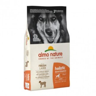 ALMO NATURE CANE HOLISTIC ADULT LARGE CON AGNELLO E RISO DA 12 KG