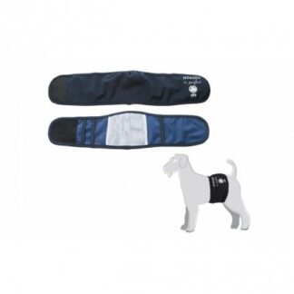 CAMON FASCIA IGIENICA PER CANI MASCHI TAGLIA 2