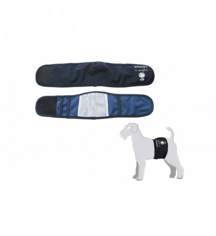 CAMON FASCIA IGIENICA PER CANI MASCHI TAGLIA 2