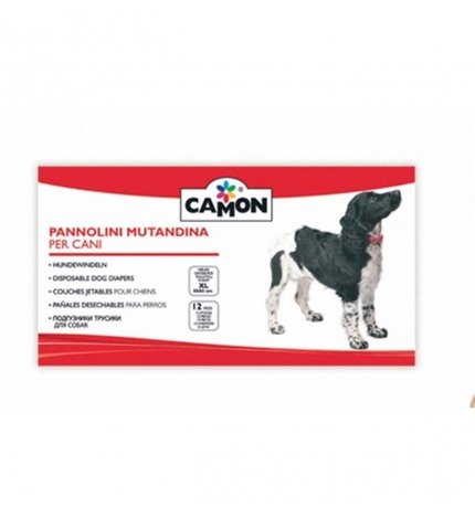 CAMON PANNOLINI MUTANDINA TAGLIA 4 XL DA 12 PEZZI