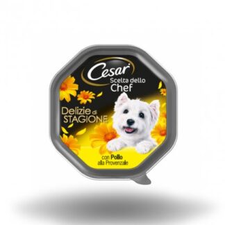 Cesar cane chef con pollo alla provenzale da 150 gr