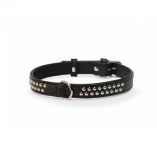 COLLARE FODERATO CON BORCHIE 30x600 NERO