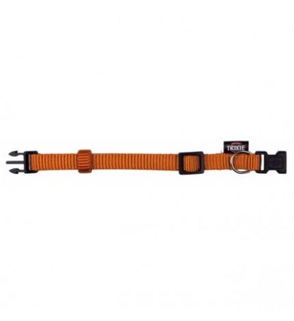 Collare premium xxs-xs arancio