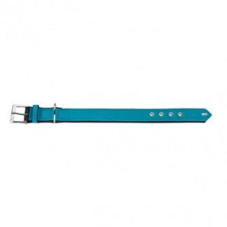 Collare provence gr.55 pelle