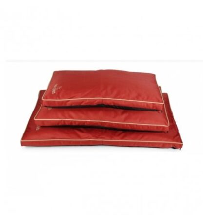 CUSCINO LUXURY XTREME TERRA 70x100CM