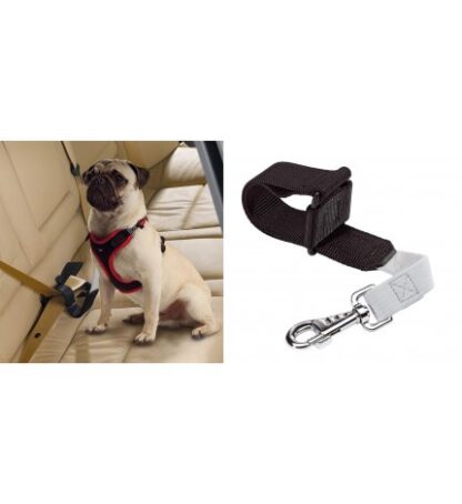 DOG TRAVEL BELT NERO