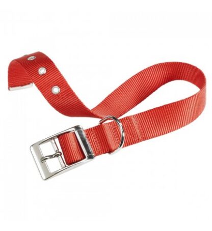 FERPLAST CANE COLLARE CLUB FORATO CF 15 / 35 ROSSO