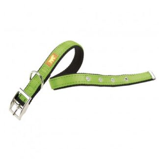 FERPLAST CANE COLLARE DUAL CF 15 / 35 VERDE