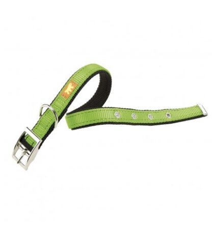 FERPLAST CANE COLLARE DUAL CF 15 / 35 VERDE