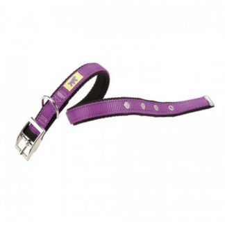 FERPLAST CANE COLLARE DUAL CF 20 / 43 VIOLA