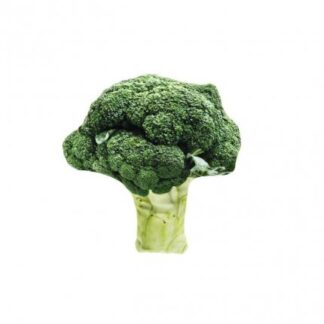 FERRIBIELLA GIOCO GATTO BROCCOLO MATATABI 12 X 11,5 CM