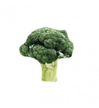 FERRIBIELLA GIOCO GATTO BROCCOLO MATATABI 12 X 11,5 CM