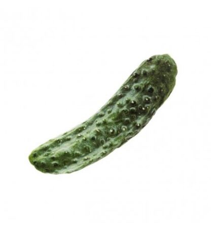 FERRIBIELLA GIOCO GATTO CETRIOLO MATATABI 14 X 7,5 CM