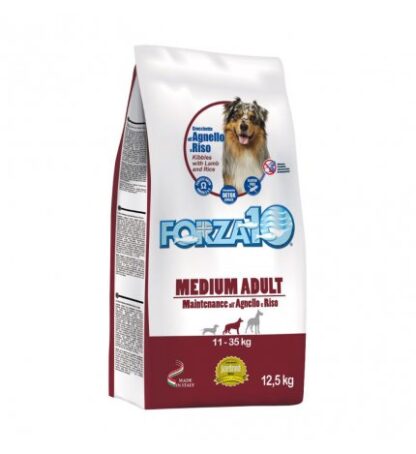 FORZA 10 CANE ADULT MEDIUM MAINTENANCE AGNELLO E RISO DA 12 KG
