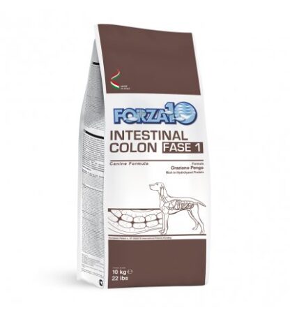 FORZA10 CANE DIET ADULT INTESTINAL COLON FASE 1 DA 10 KG