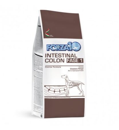 FORZA10 CANE DIET ADULT INTESTINAL COLON FASE 1 DA 4 KG