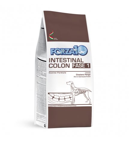 FORZA10 CANE DIET ADULT INTESTINAL COLON FASE 1 DA 4 KG