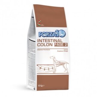 FORZA10 CANE DIET ADULT INTESTINAL COLON FASE 2 DA 10 KG