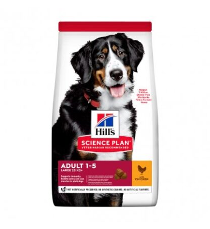 HILL'S SCIENCE PLAN CANE ADULT LARGE BREED AL POLLO DA 14 KG
