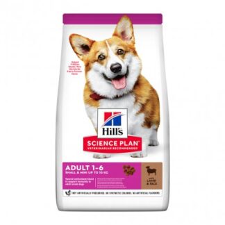 HILL'S SCIENCE PLAN CANE ADULT SMALL & MINI AGNELLO E RISO DA 300 GR