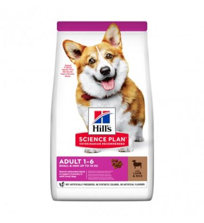 HILL'S SCIENCE PLAN CANE ADULT SMALL & MINI AGNELLO E RISO DA 300 GR