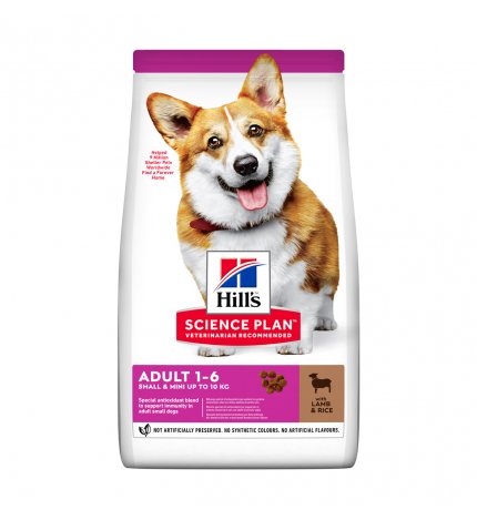 HILL'S SCIENCE PLAN CANE ADULT SMALL & MINI AGNELLO E RISO DA 300 GR