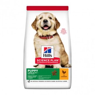 HILL'S SCIENCE PLAN CANE PUPPY LARGE BREED AL POLLO DA 2,5 KG