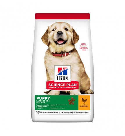 HILL'S SCIENCE PLAN CANE PUPPY LARGE BREED AL POLLO DA 2,5 KG