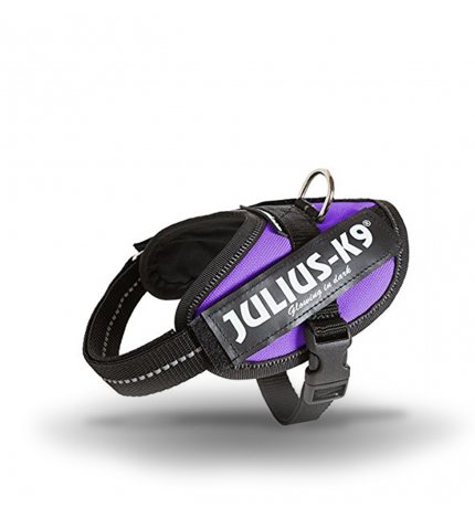 Julius pettorina julius-k9 baby 2 33 - 45 cm viola