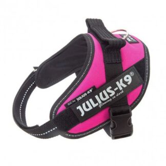 Julius pettorina julius-k9 mini mini 40 - 53 cm fucsia