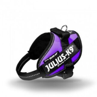 Julius pettorina julius-k9 mini mini 40 - 53 cm viola