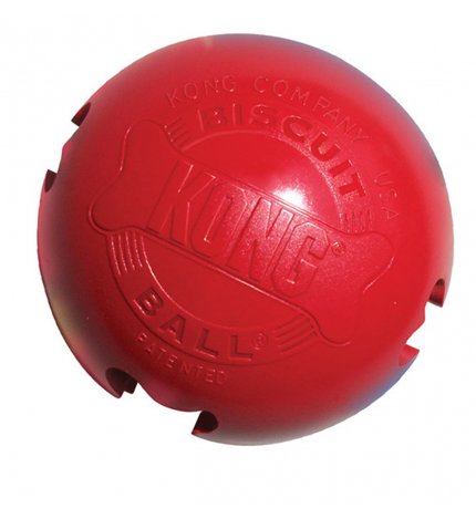 KONG LARGE BISCUIT BALL