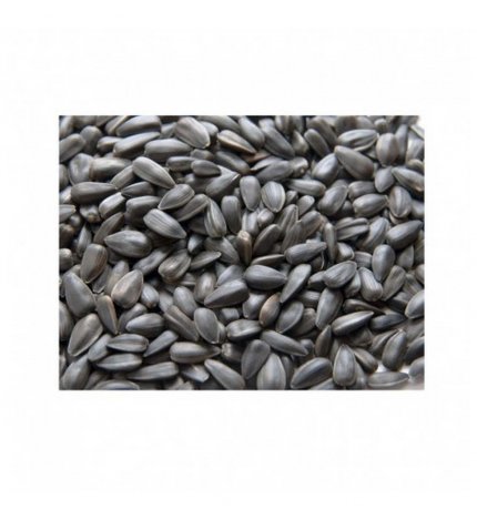 Manitoba girasole nero micro 1kg