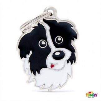 Medaglietta border collie