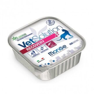 MONGE VETSOLUTION GATTO GRAIN FREE VETERINARY DIET RECOVERY DA 100 GR IN VASCHETTA