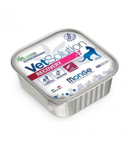 MONGE VETSOLUTION GATTO GRAIN FREE VETERINARY DIET RECOVERY DA 100 GR IN VASCHETTA